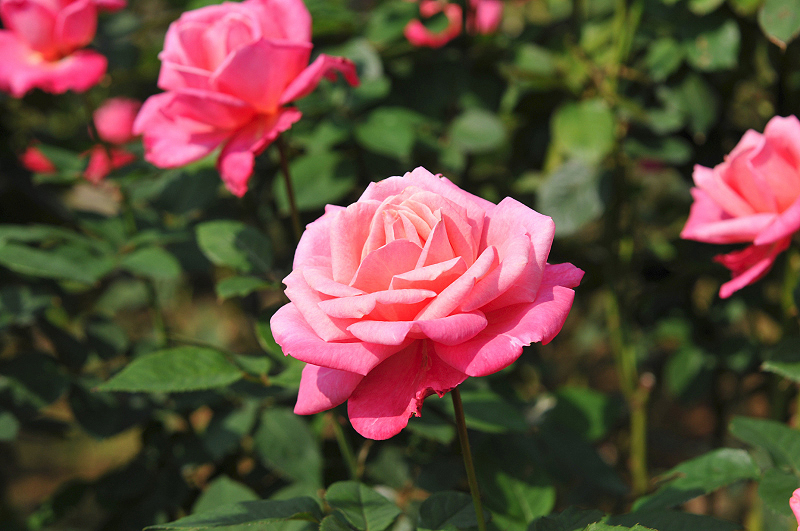 image0159