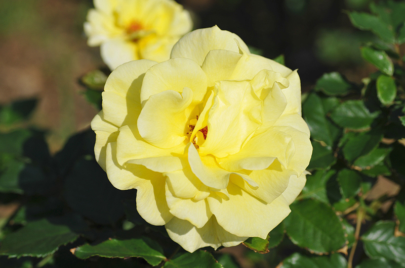 image0578