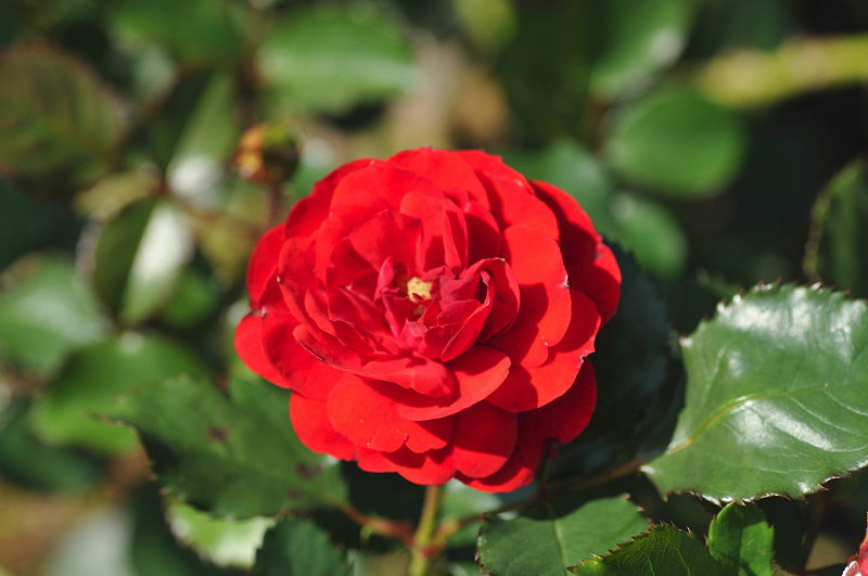 image0607