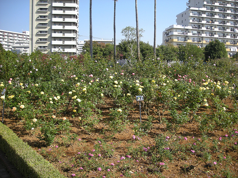 image0643