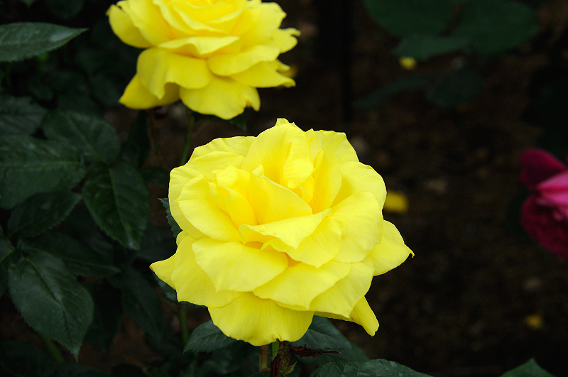 image0105