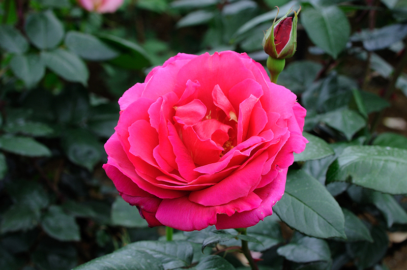 image0123