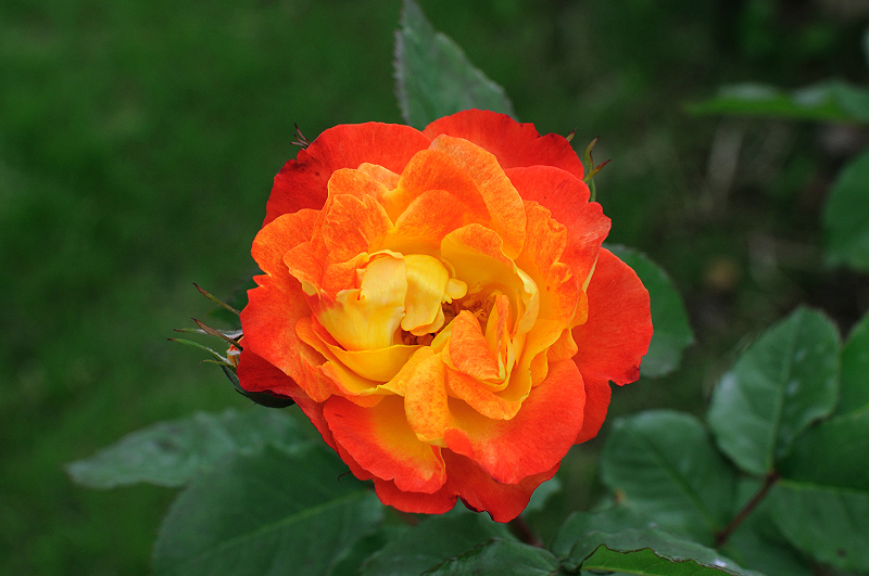 image0128