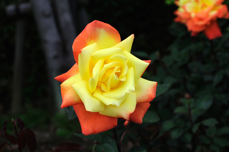 image0129