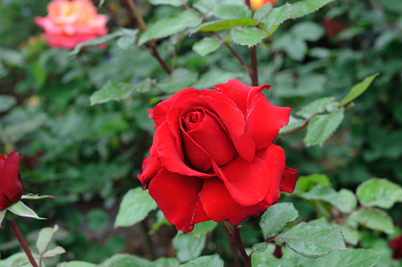 image0147