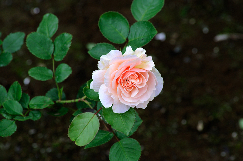 image0152