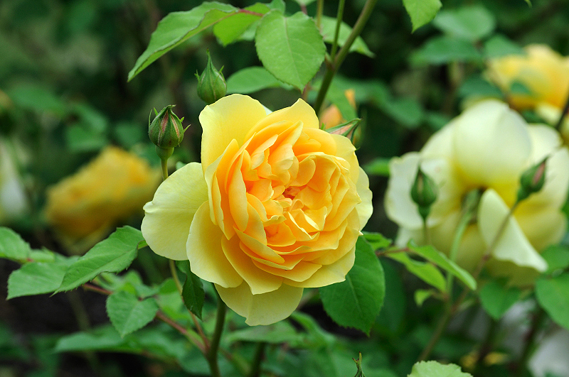 image0153