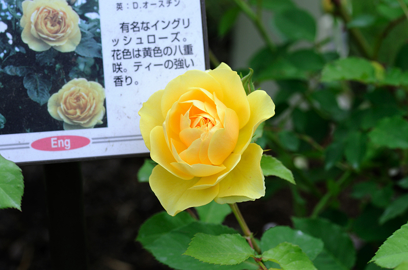 image0156
