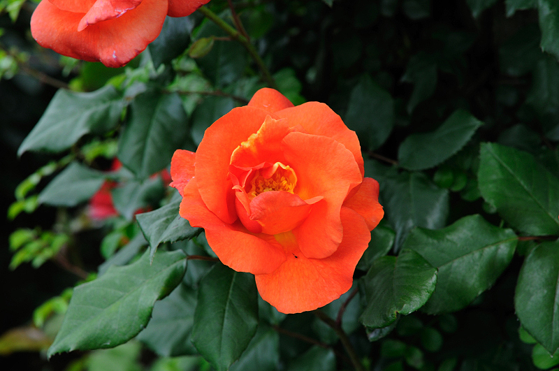 image0165