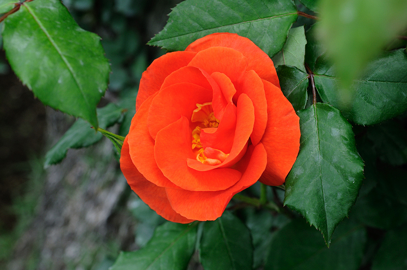 image0166