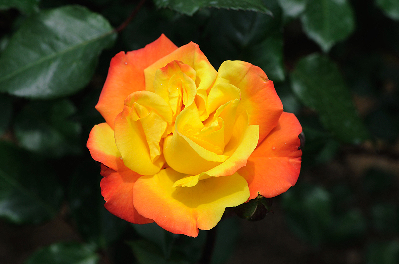 image0169