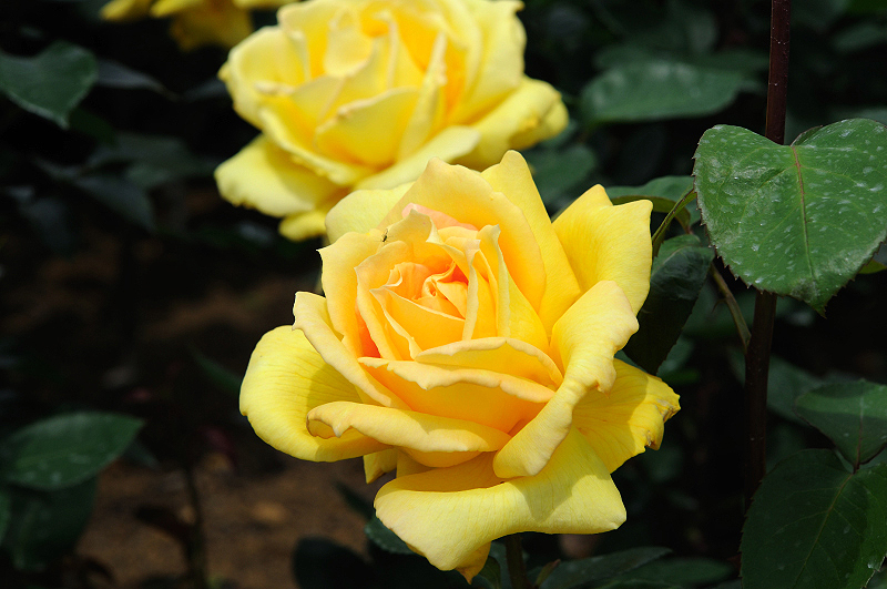 image0170