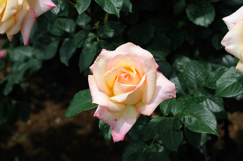 image0171