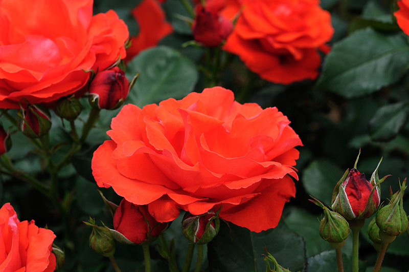 image0173