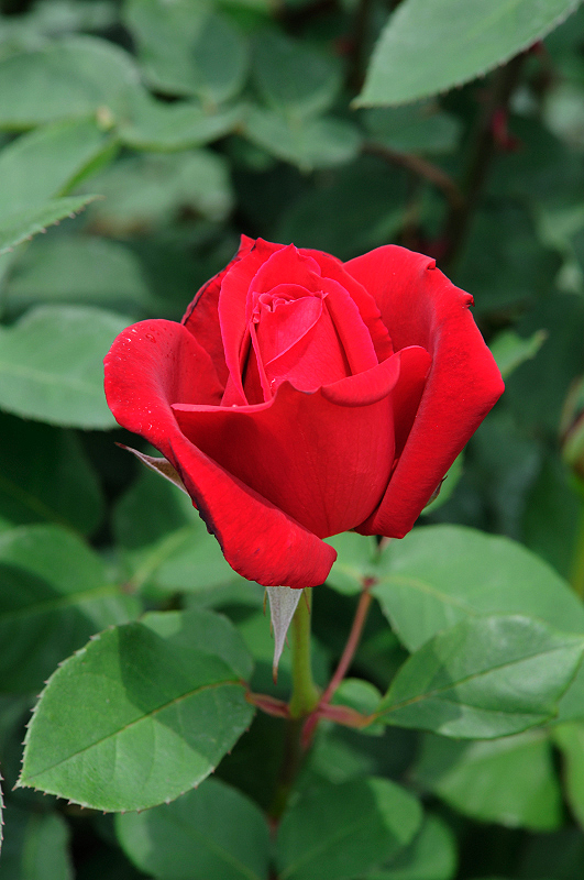 image0176