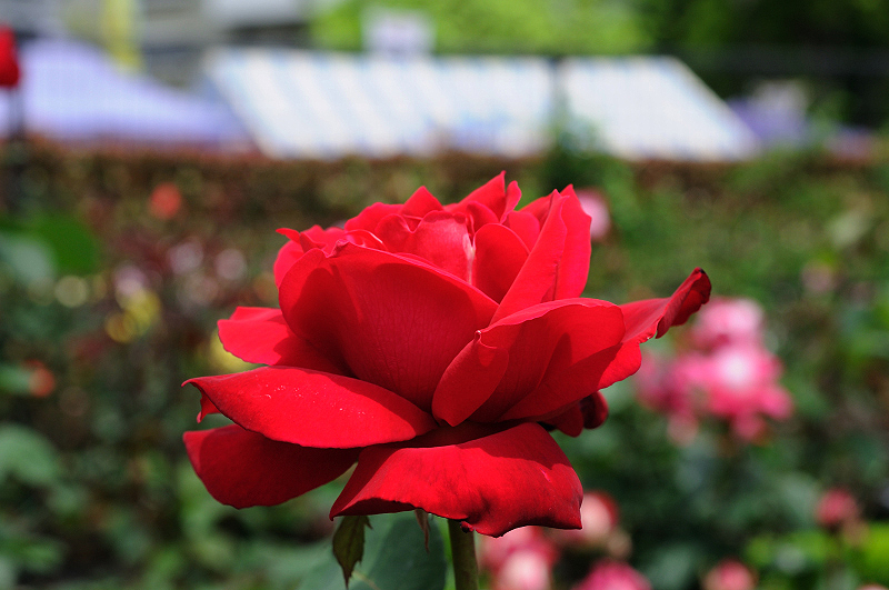 image0177