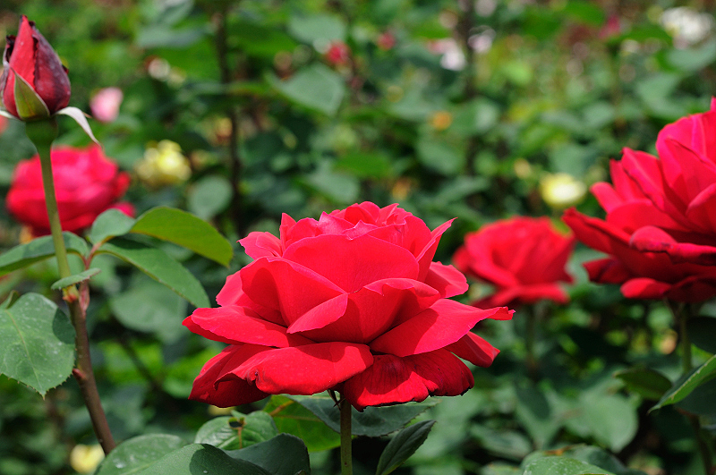 image0178