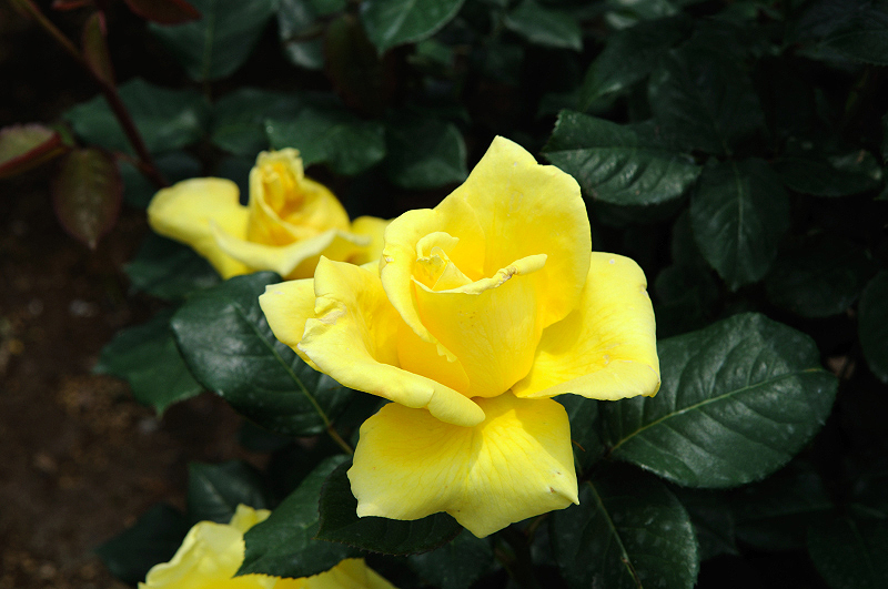 image0179