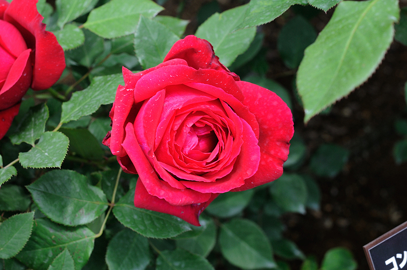 image0180