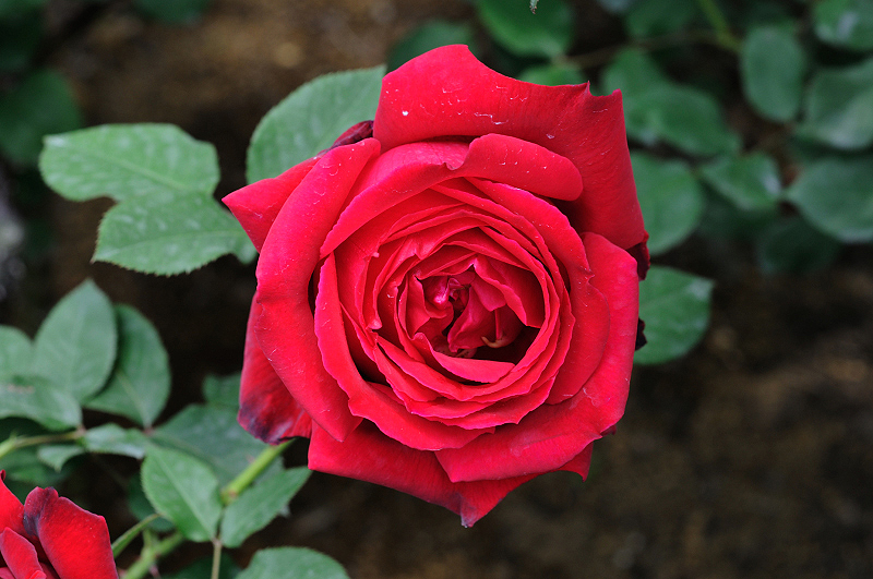 image0181