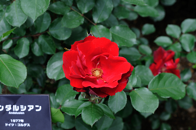 image0182