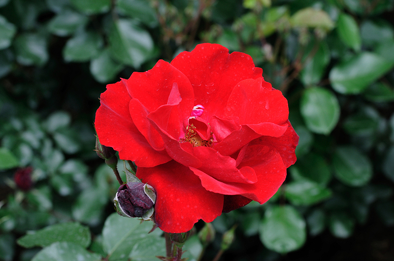 image0183