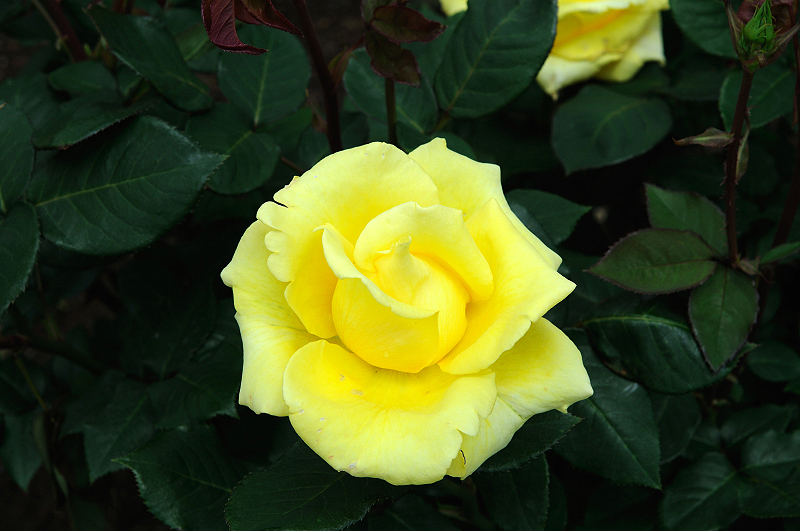 image0185