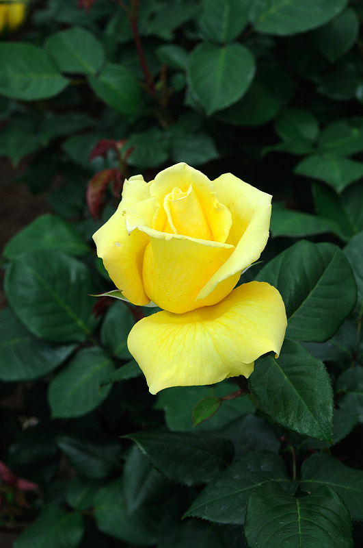 image0186