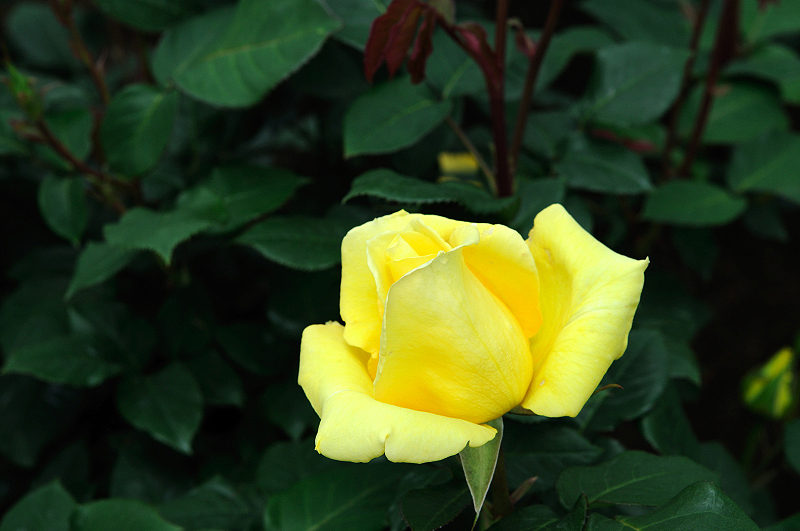 image0187