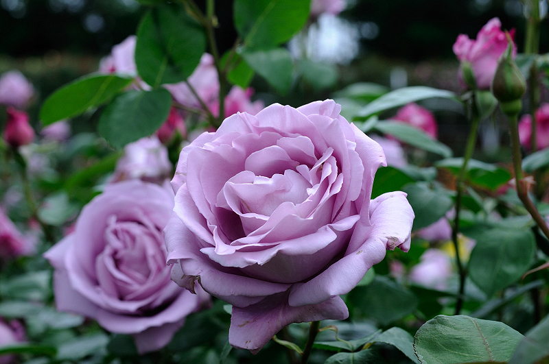 image0188
