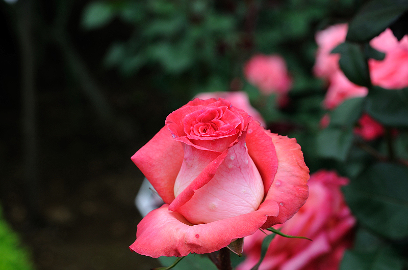 image0189