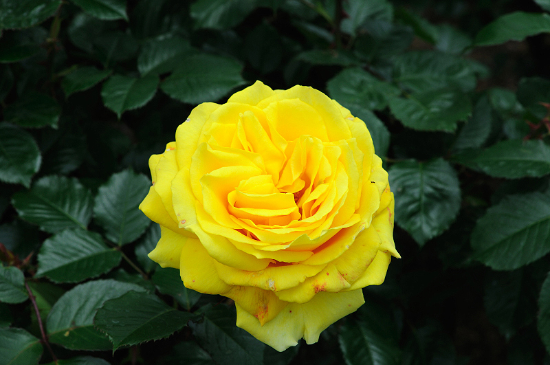 image0191