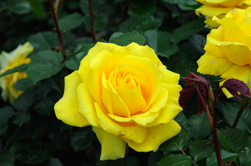 image0192