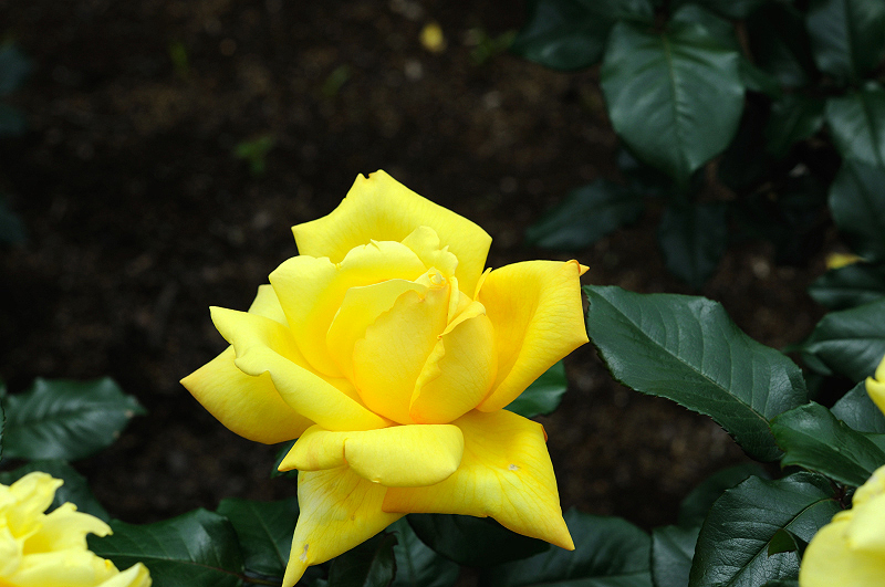 image0193