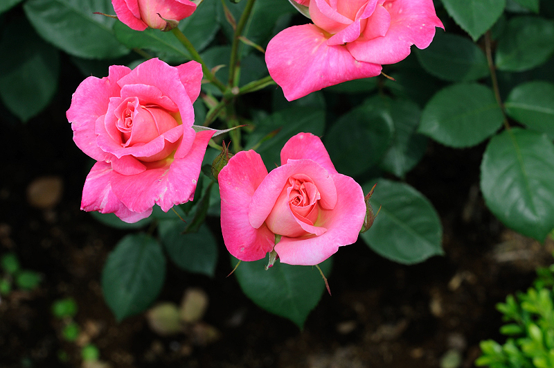 image0197