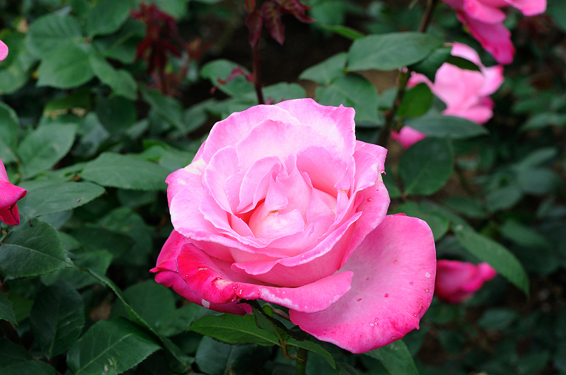 image0201