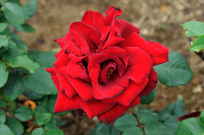 image0203