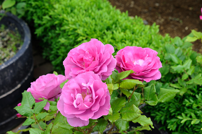 image0211