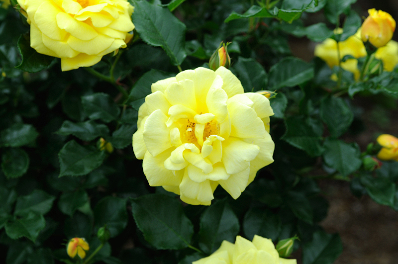 image0214
