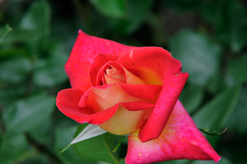 image0216