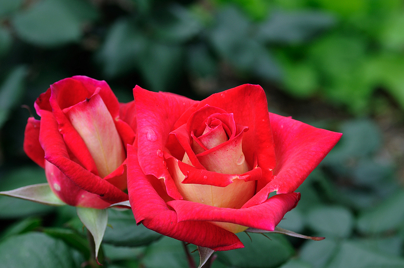 image0217