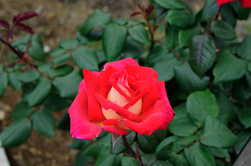 image0219