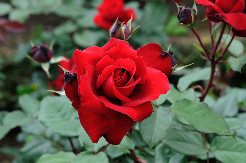 image0220