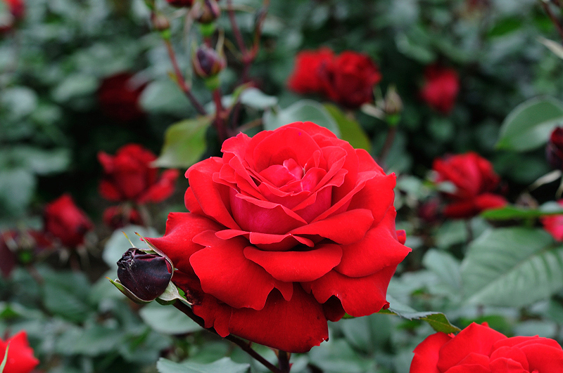 image0221