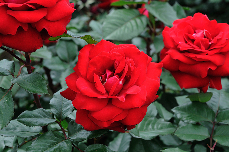 image0222