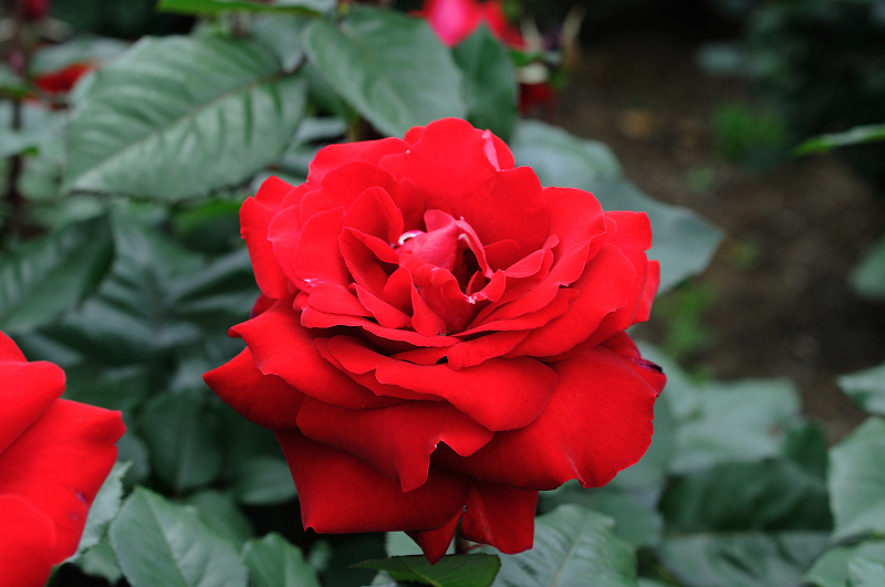image0223