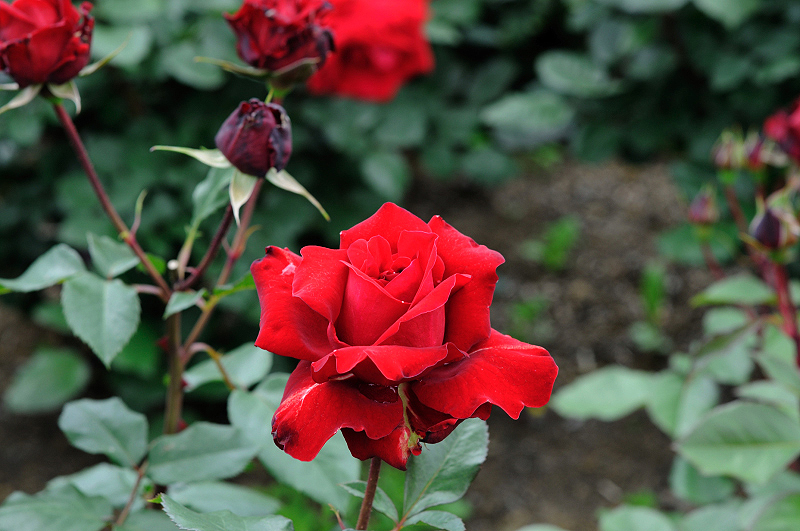 image0224