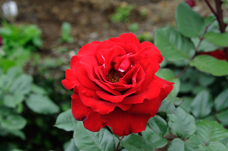 image0225