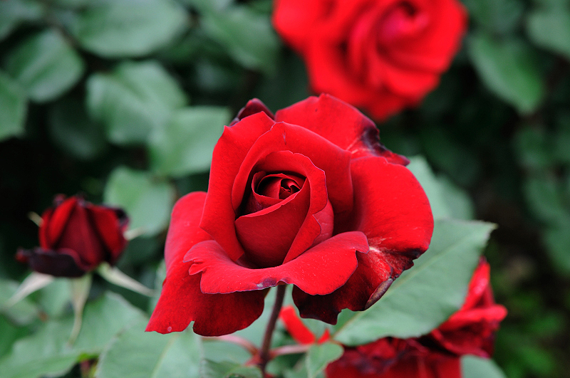 image0228