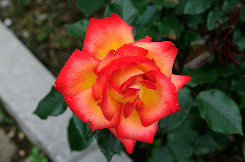 image0233